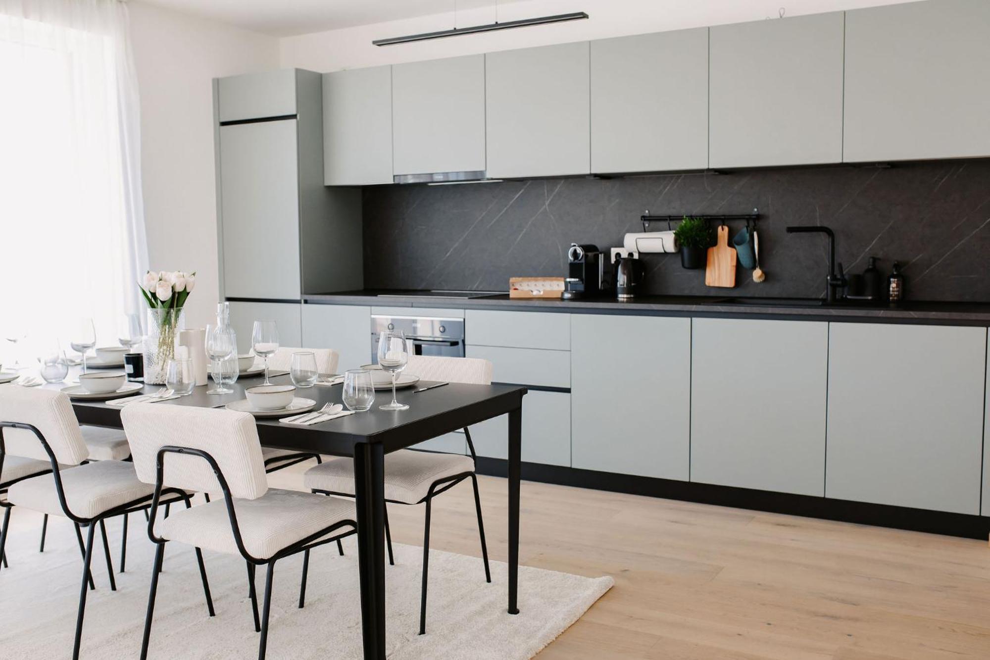 Luxury Appartement Vienne